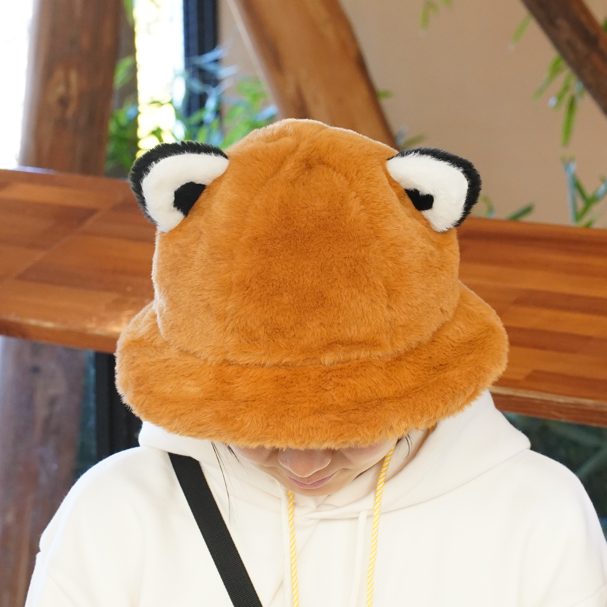 レッサーパンダ