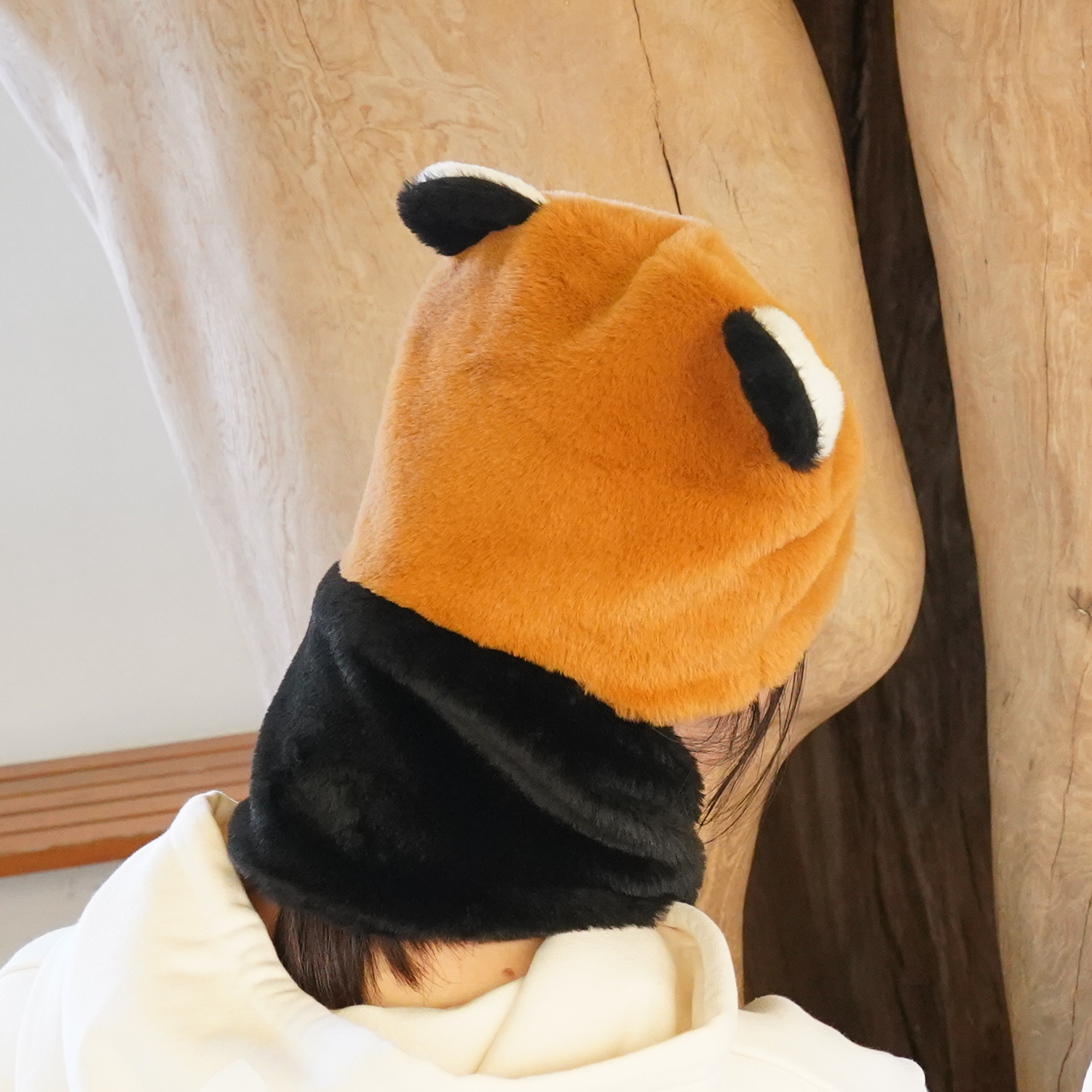 レッサーパンダ