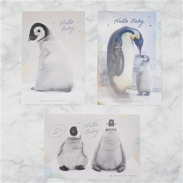エンペラーペンギンBaby ポストカードセット