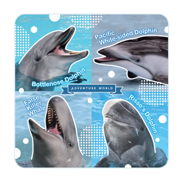 イルカコレクションハンカチタオル