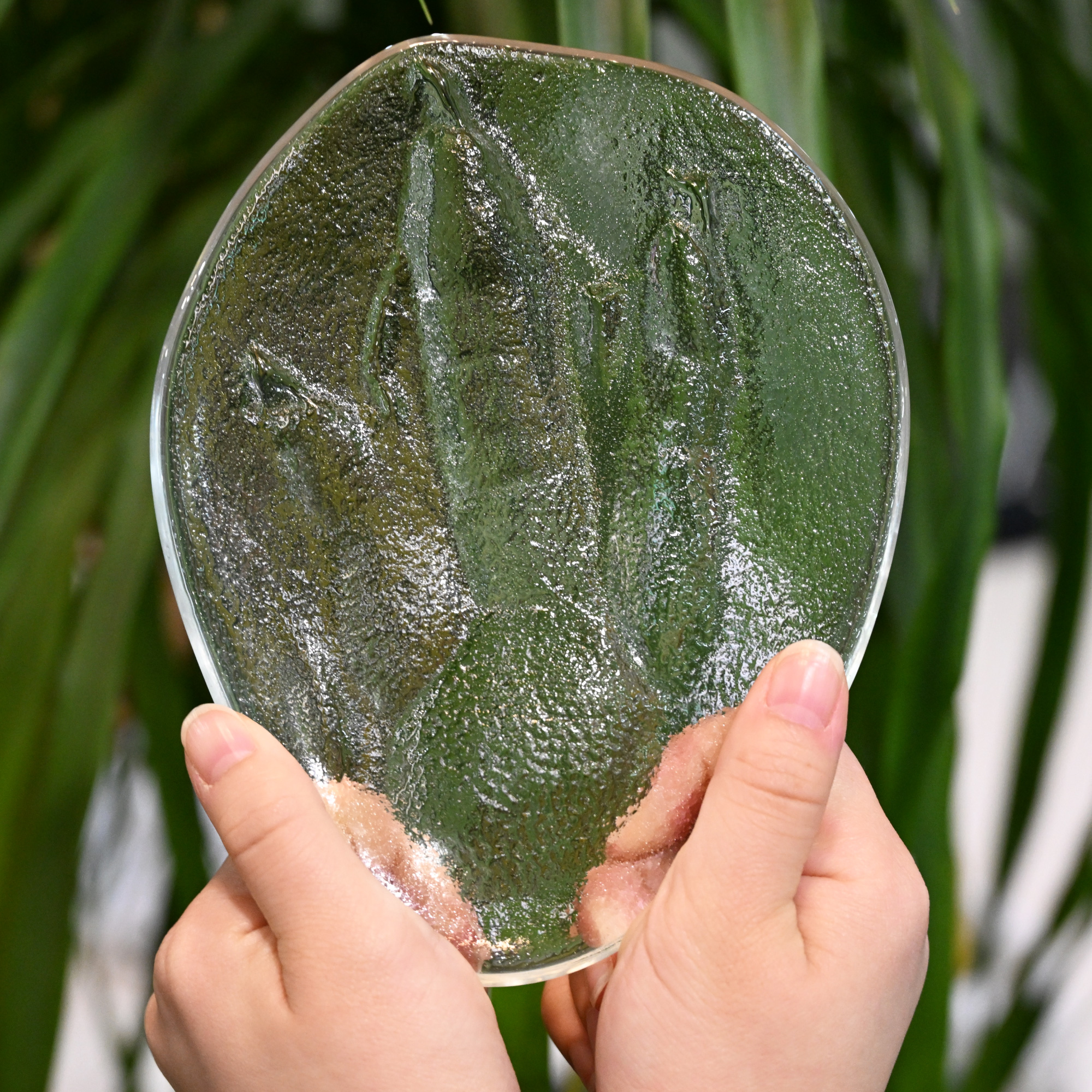 足形ガラスレリーフ　キングペンギン