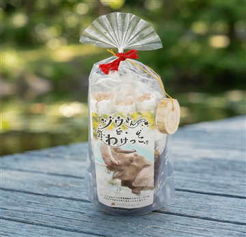 ゾウさんとわけっこ