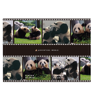 Panda Journey～しあわせの足あと～　ブランケット