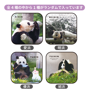 Panda Journey～しあわせの足あと～　ブラインドミニタオルvol.4