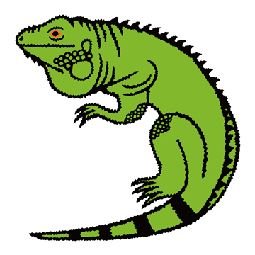 グリーンイグアナ