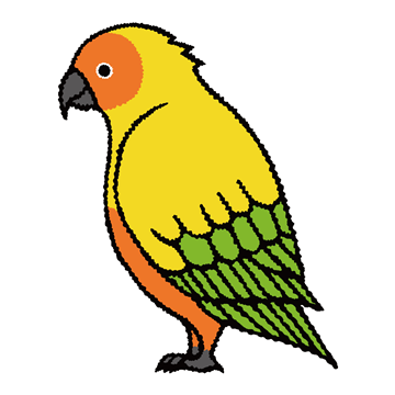 コガネメキシコインコ