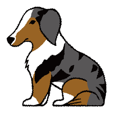 オーストラリアンシェパード