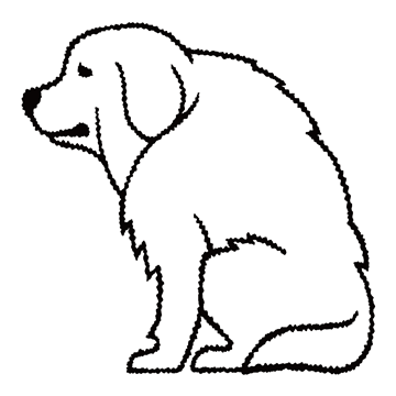 グレートピレニーズ