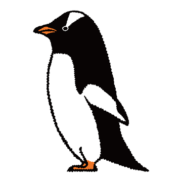 ジェンツーペンギン