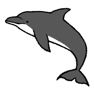 バンドウイルカ