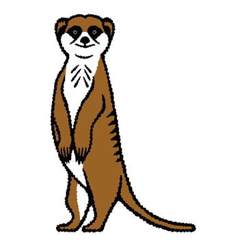 ミーアキャット