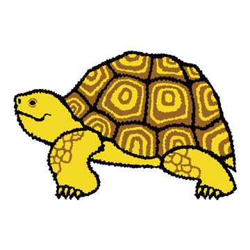 ケヅメリクガメ