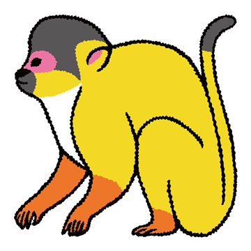 ボリビアリスザル