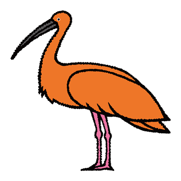 ショウジョウトキ