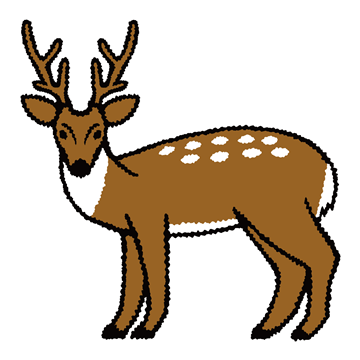 ニホンジカ
