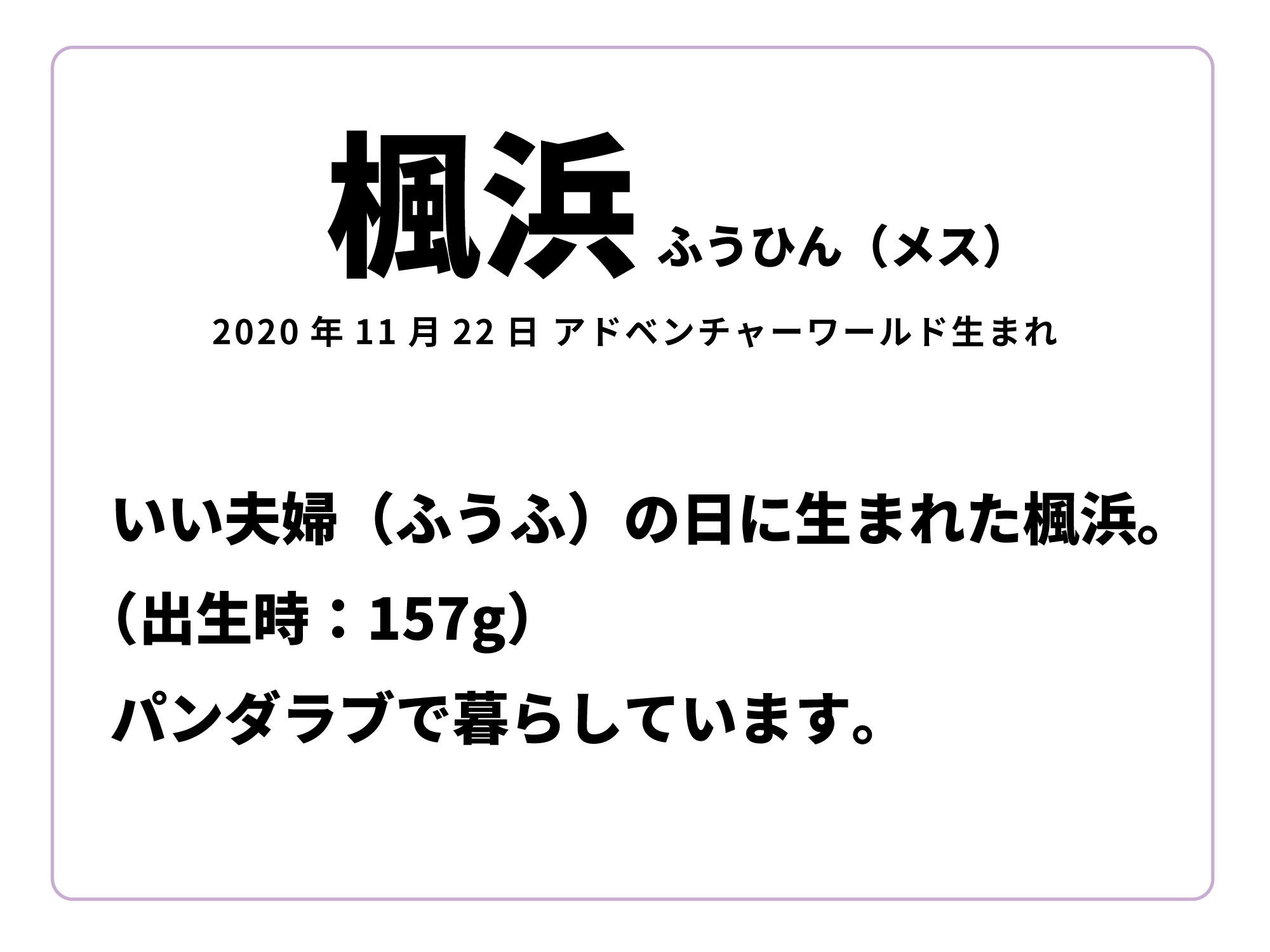 楓浜の説明